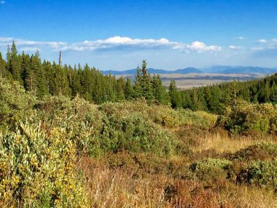 0 Zebulon Street, Fairplay, CO