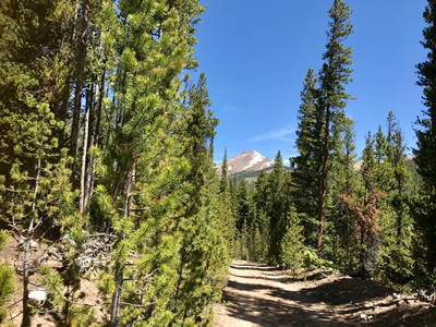 1422 County Rd 50, Como, CO 80432