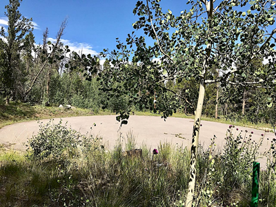 325 Park View Dr, Fairplay, CO