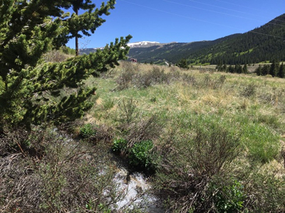 724 County Road 6, Alma, CO